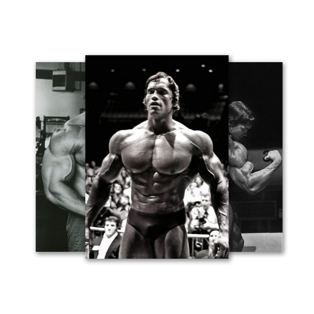 Posters Arnold Schwarzenegger