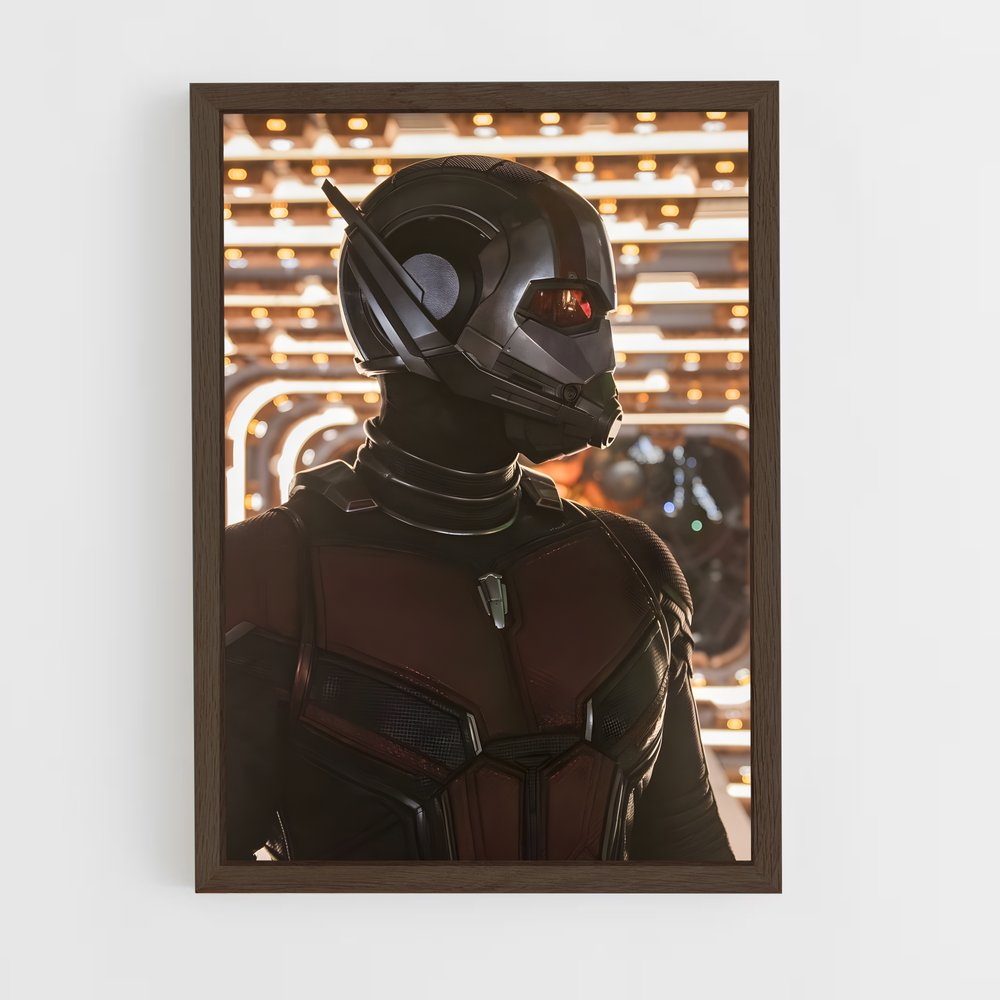 antman-8 cadre Bois foncé