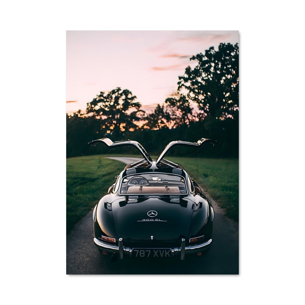 Poster Gullwing Noir