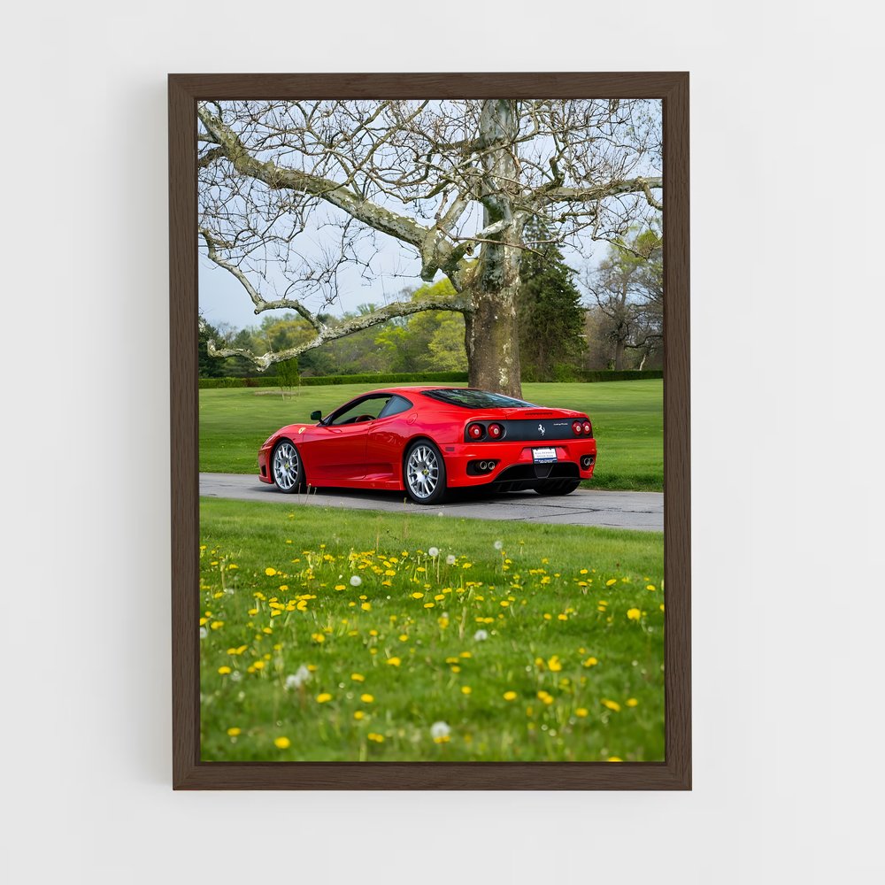 ap-360 challenge stradale-2 cadre Bois foncé