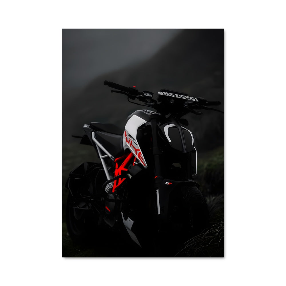 Poster Duke en Liberté