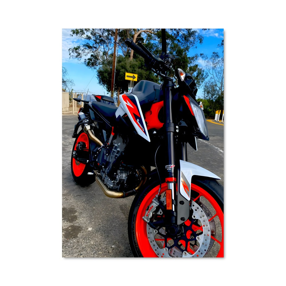 Poster 890 duke r 82561