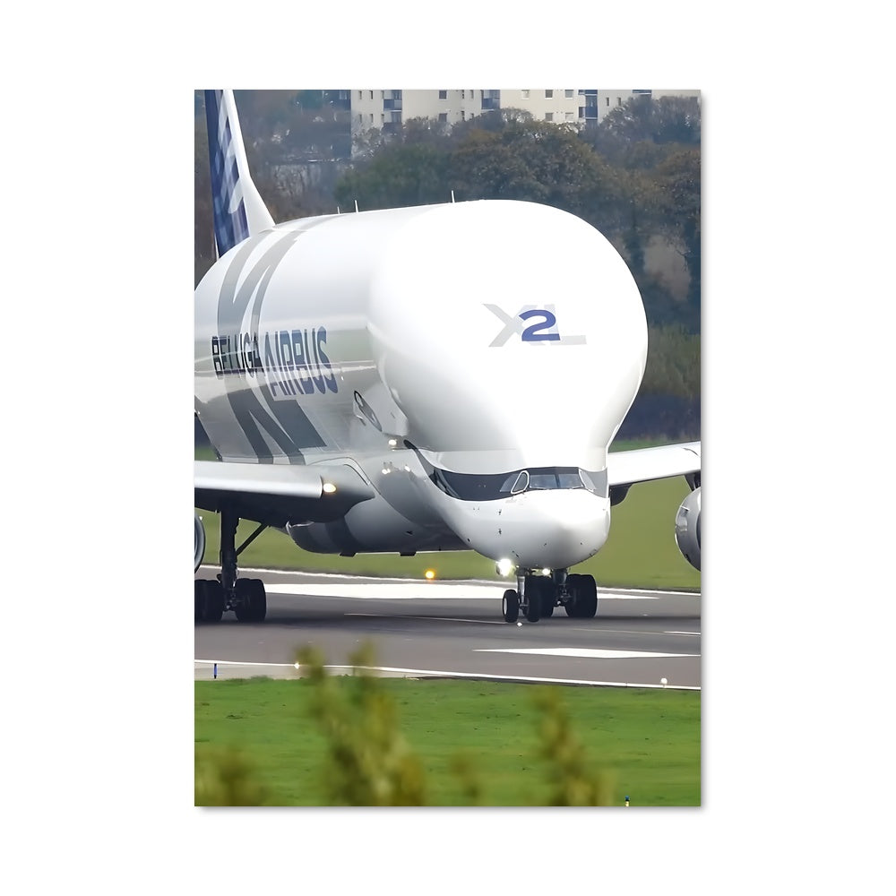 Poster Beluga Majestueux