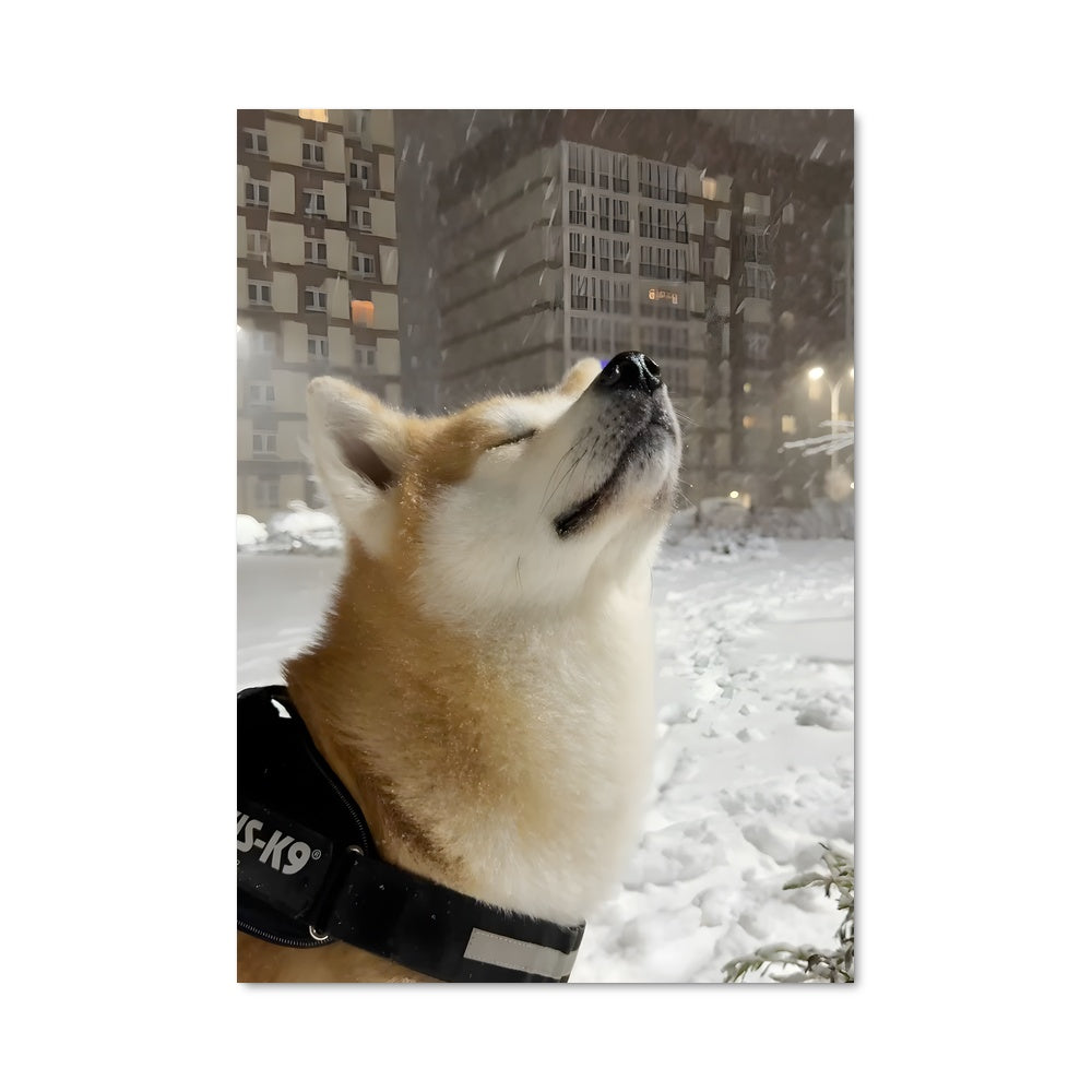 Poster Regard vers les Étoiles