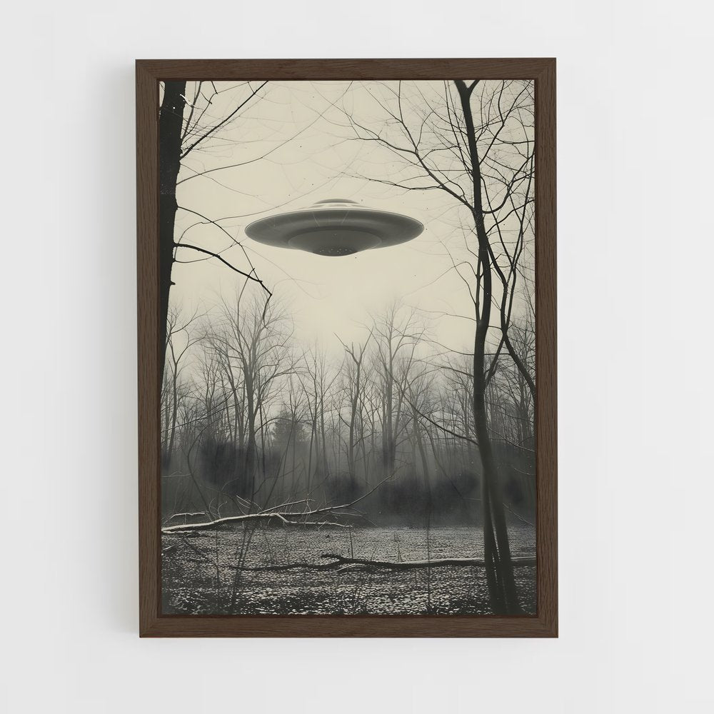 ap-aliens and ufo-10 cadre Bois foncé