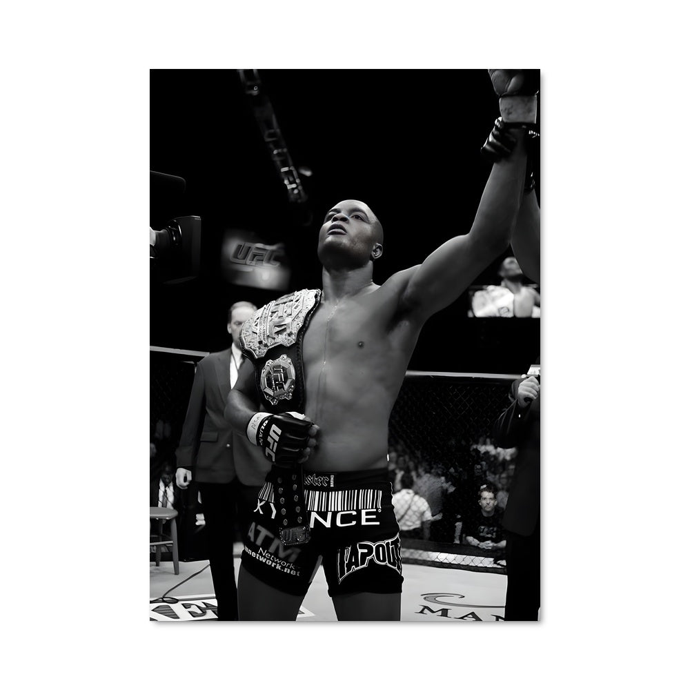 Poster Anderson silva 62030