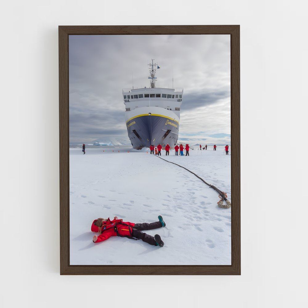 ap-antarctica-6 cadre Bois foncé