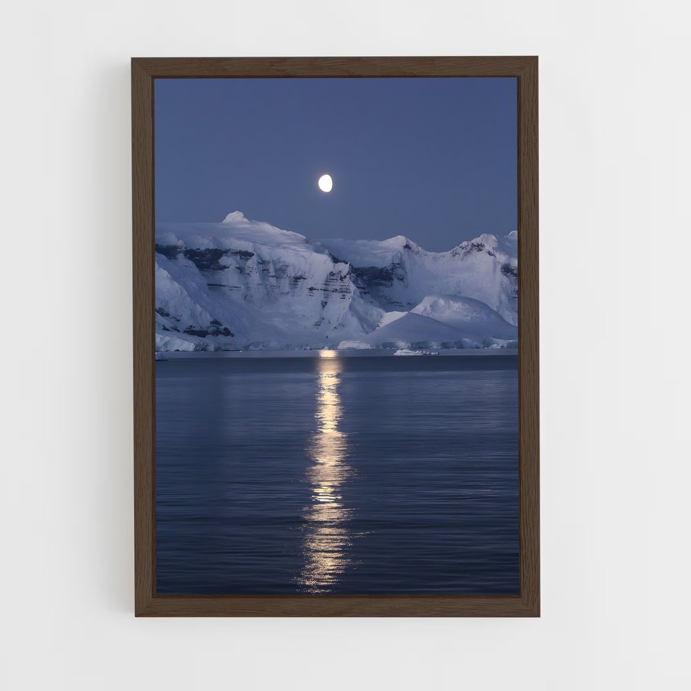 ap-antarctica-9 cadre Bois foncé