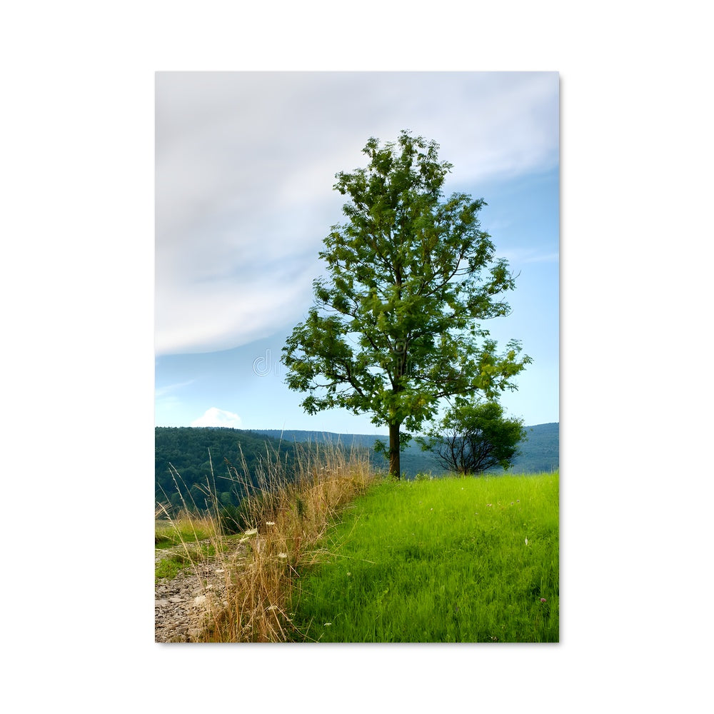 Poster Solitaire Éternel