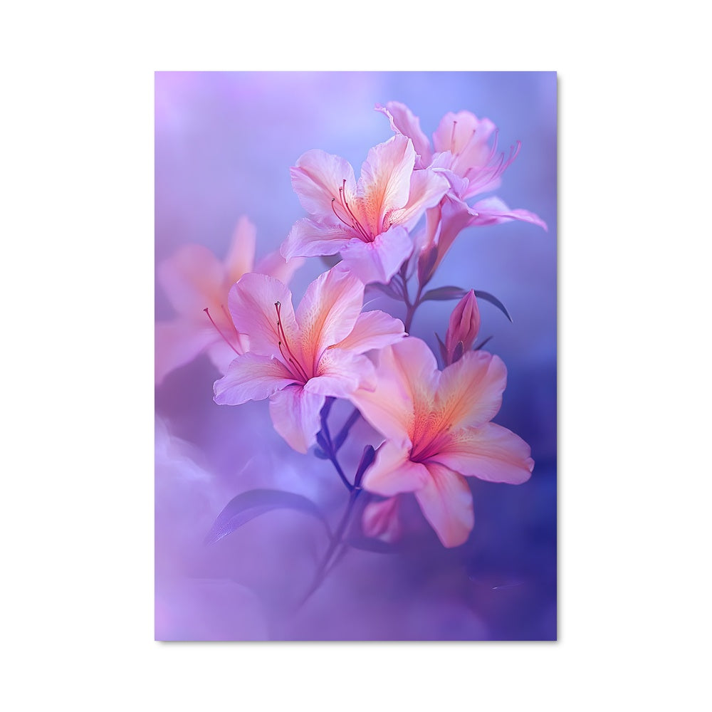 Poster Azalea 96427