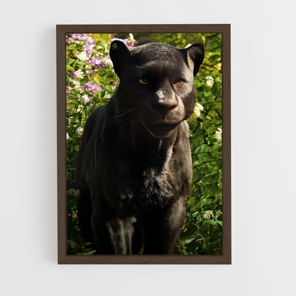 ap-bagheera-1 cadre Bois foncé