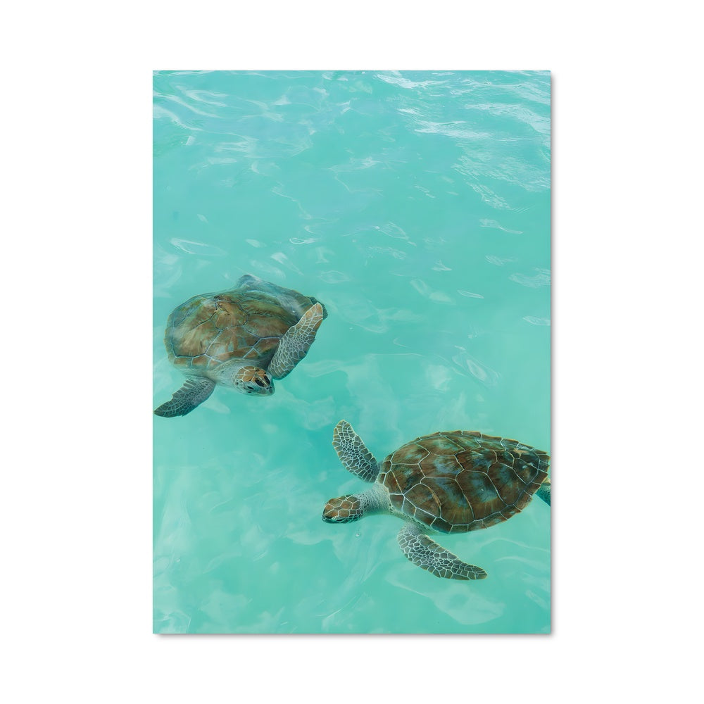 Poster Bahamas 92573