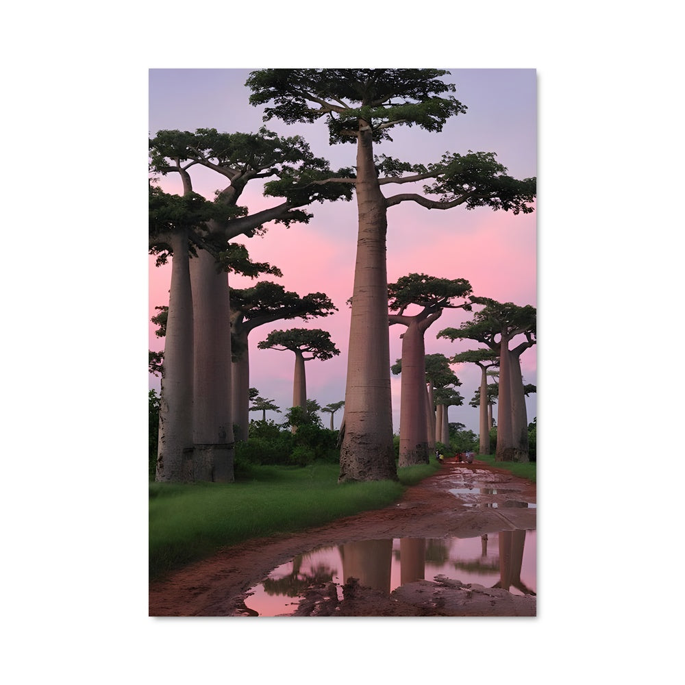 Poster Baobab au Crépuscule