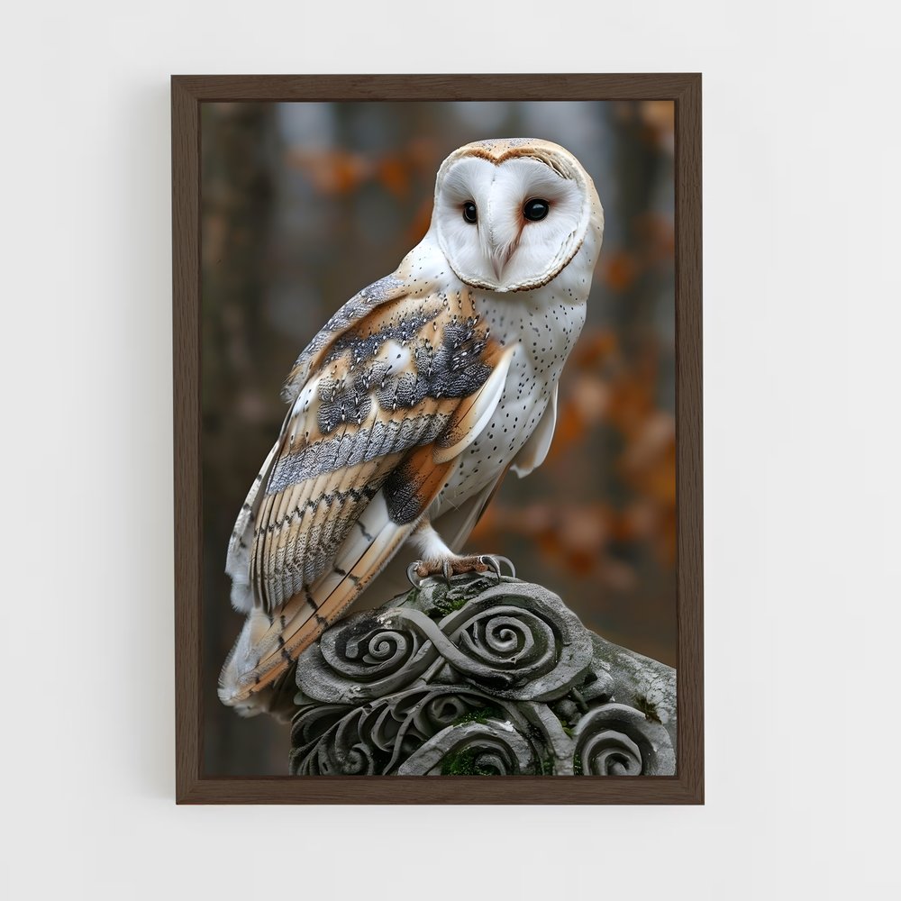 ap-barn owl-8 cadre Bois foncé
