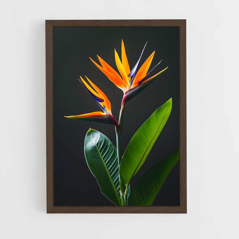 ap-bird of paradise-2 cadre Bois foncé