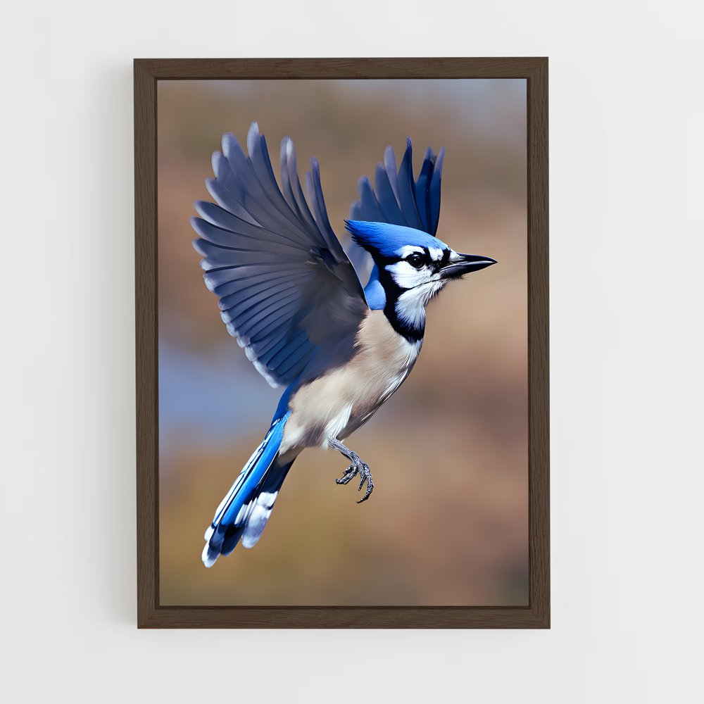 ap-blue jay-5 cadre Bois foncé