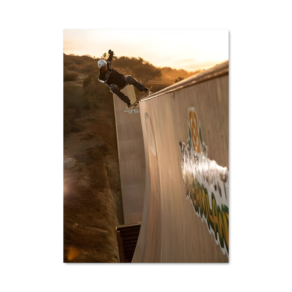 Poster Bob burnquist 68041