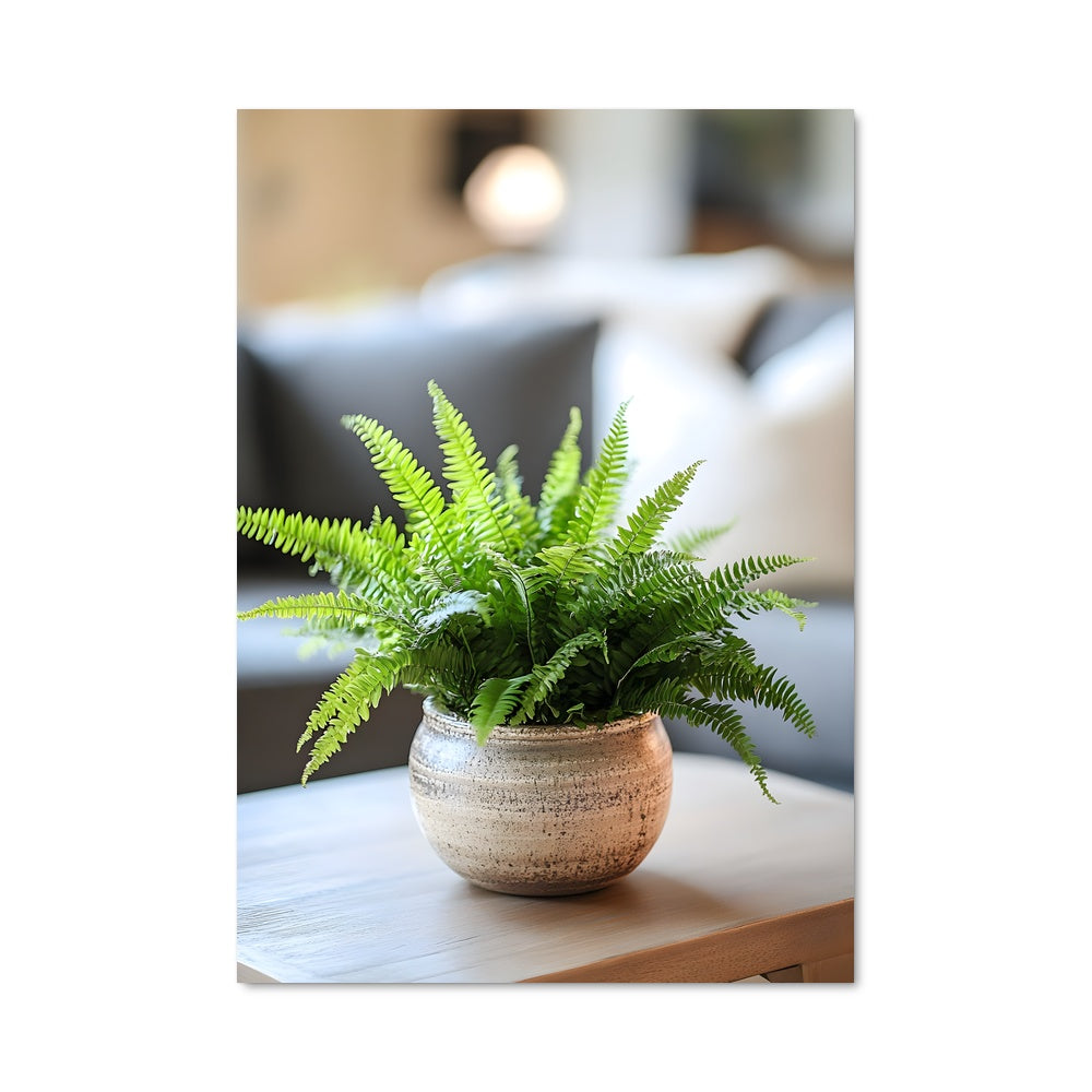 Poster La Ferme de Boston