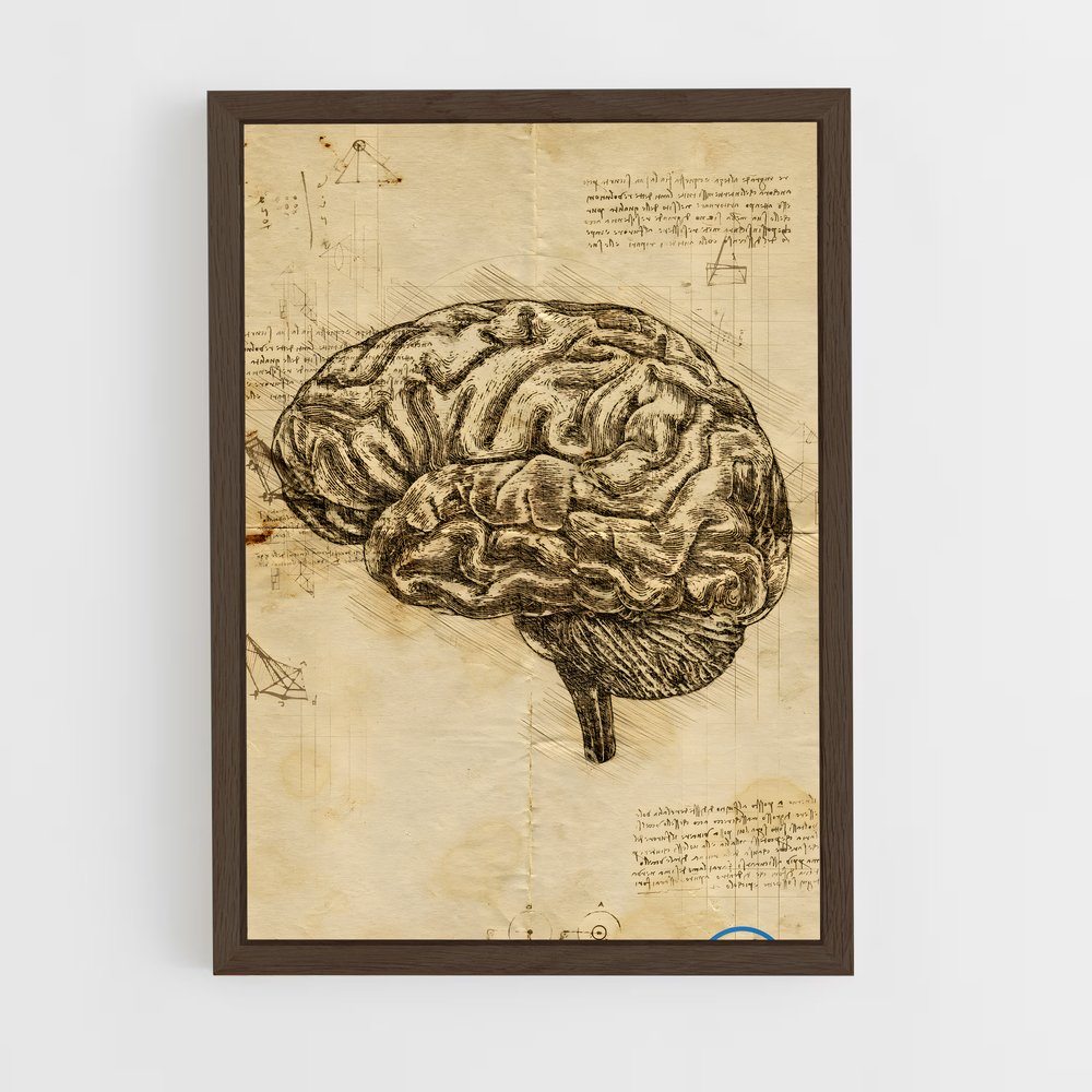ap-brain anatomy-3 cadre Bois foncé