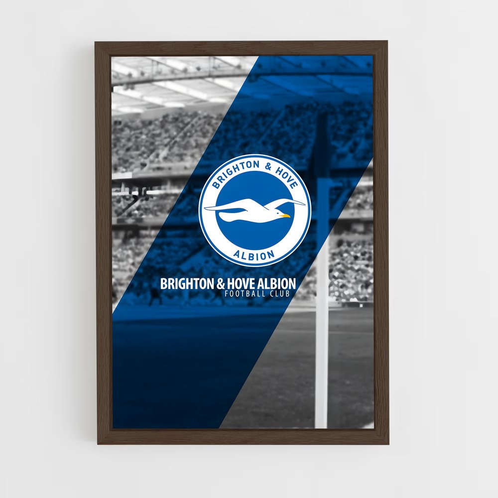 ap-brighton hove albion fc-2 cadre Bois foncé