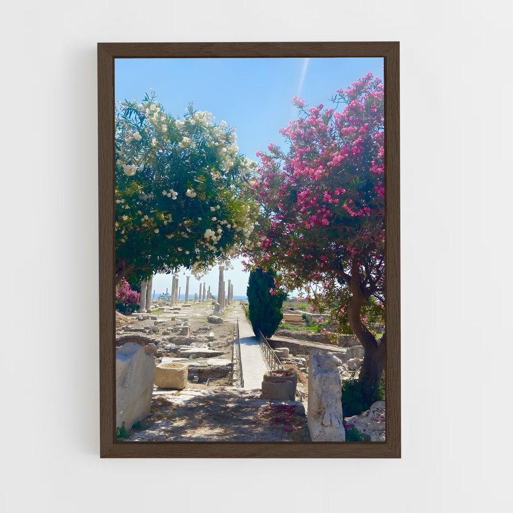 ap-byblos ruins-1 cadre Bois foncé