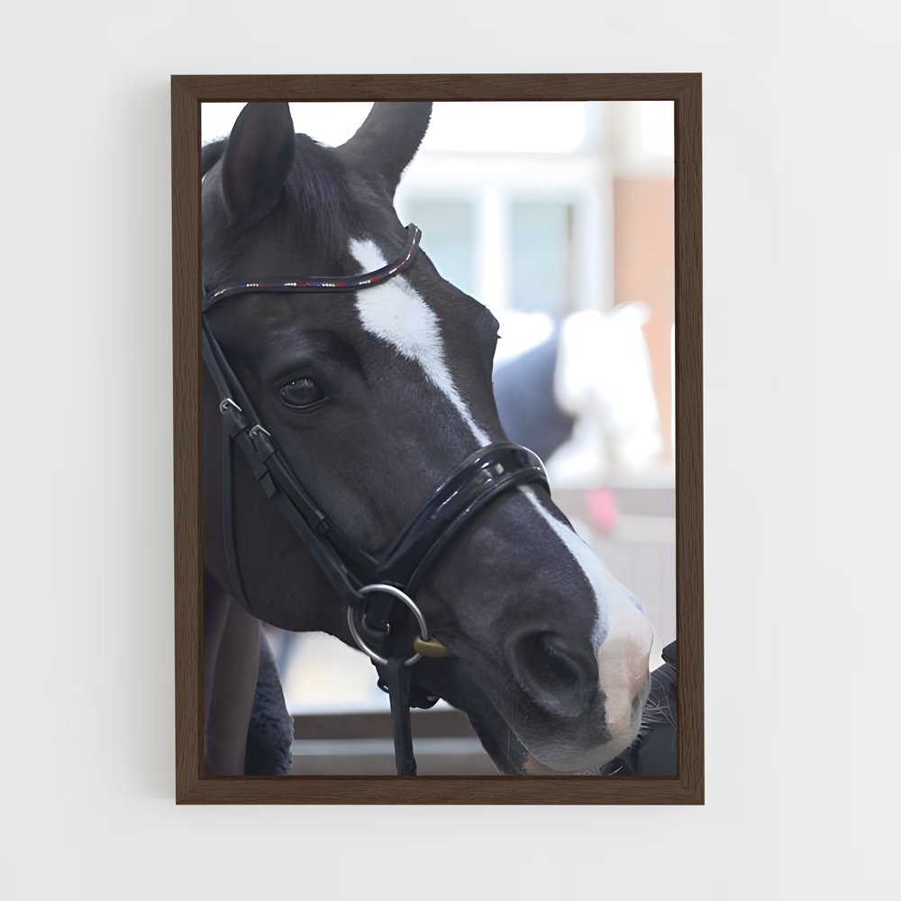ap-carl hester-5 cadre Bois foncé