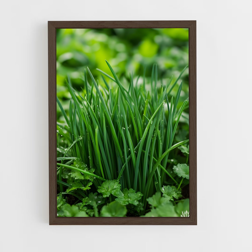 ap-chives-1 cadre Bois foncé
