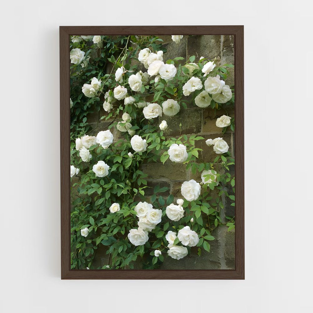 ap-climbing rose-5 cadre Bois foncé