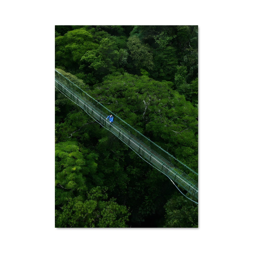 Poster Traversée Tropicale