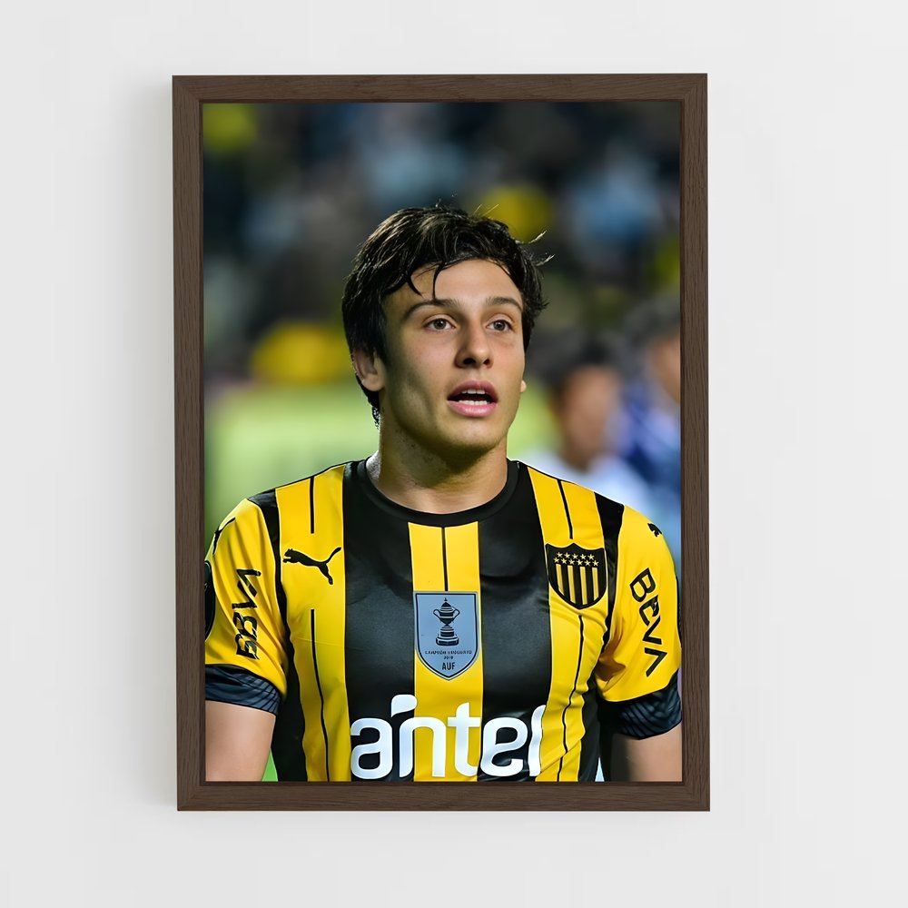ap-club atletico penarol-1 cadre Bois foncé