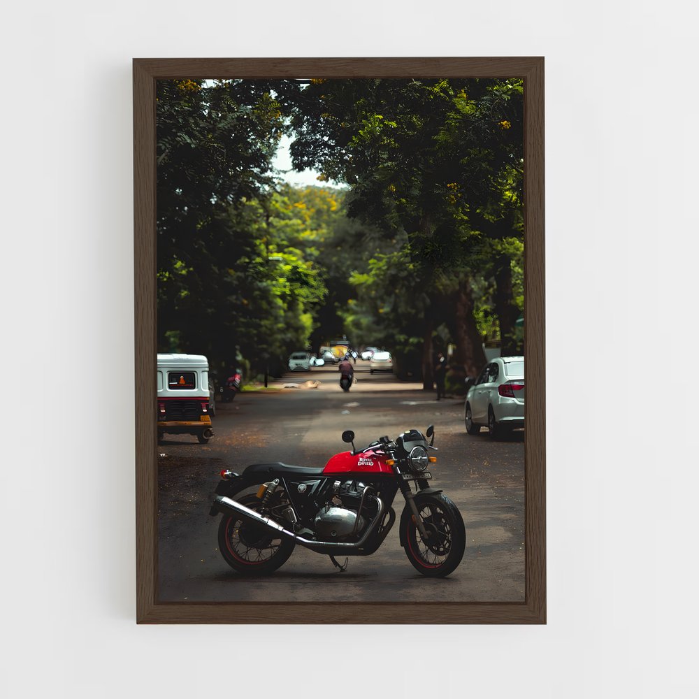 ap-continental gt 650-8 cadre Bois foncé