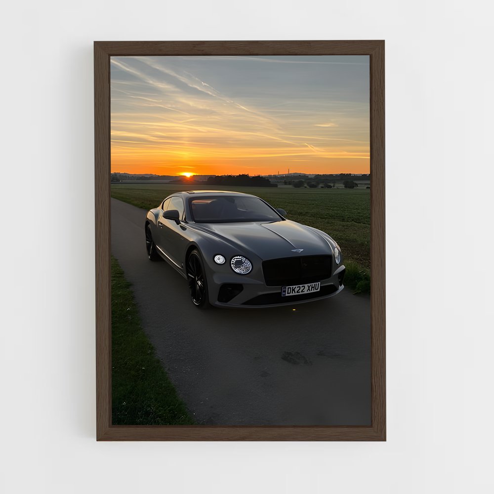 ap-continental gt speed-4 cadre Bois foncé