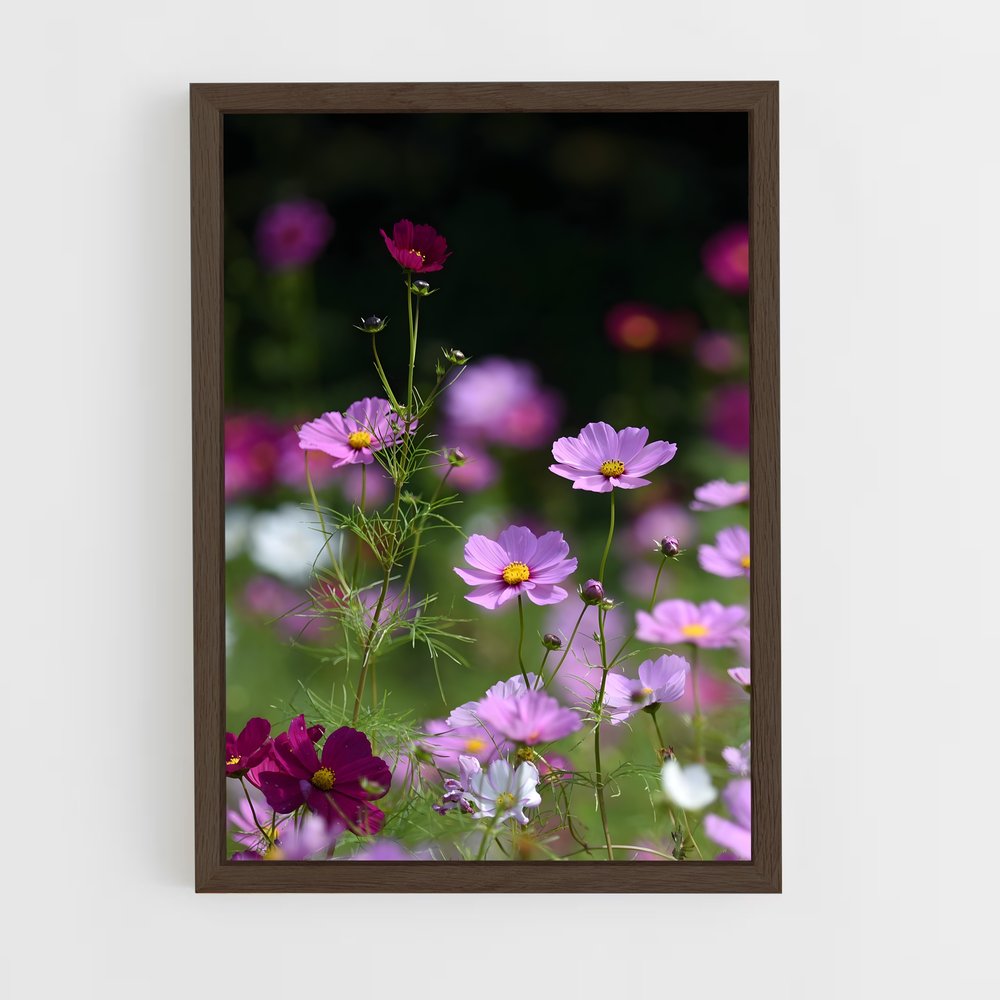 ap-cosmos-7 cadre Bois foncé
