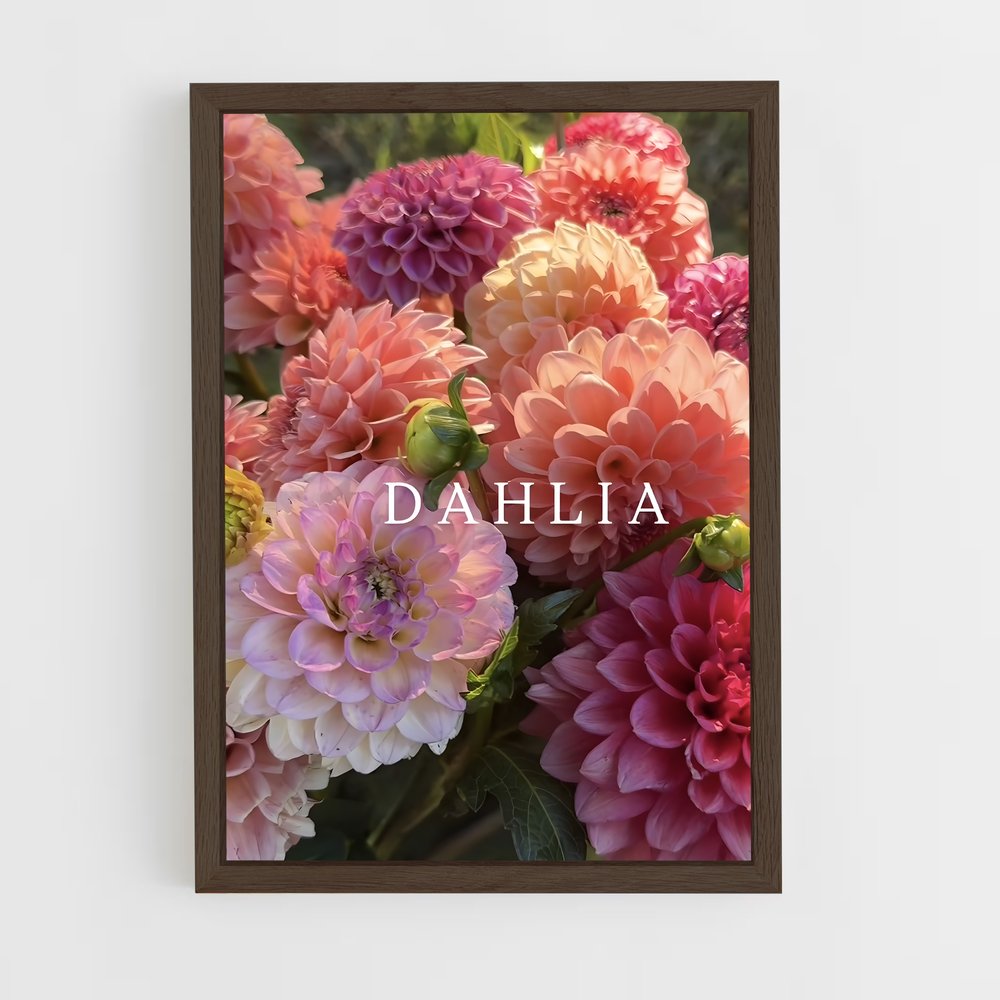 ap-dahlia-1 cadre Bois foncé