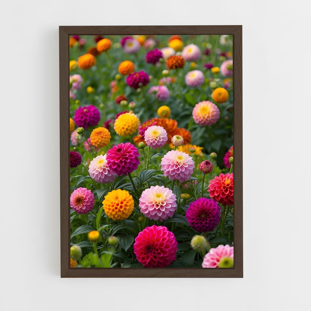 ap-dahlia-6 cadre Bois foncé
