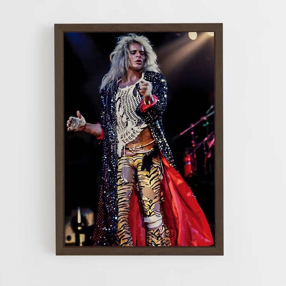 ap-david lee roth-2 cadre Bois foncé