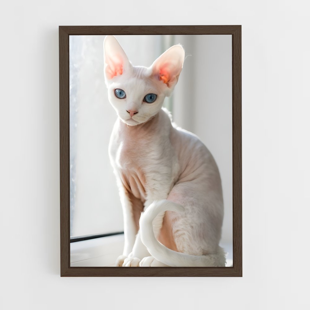 ap-devon rex-2 cadre Bois foncé