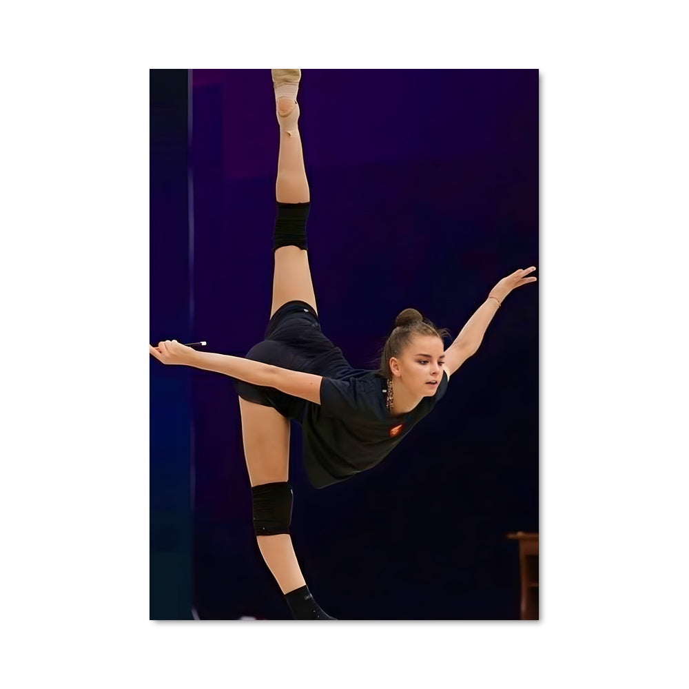 Poster Dina averina 66493
