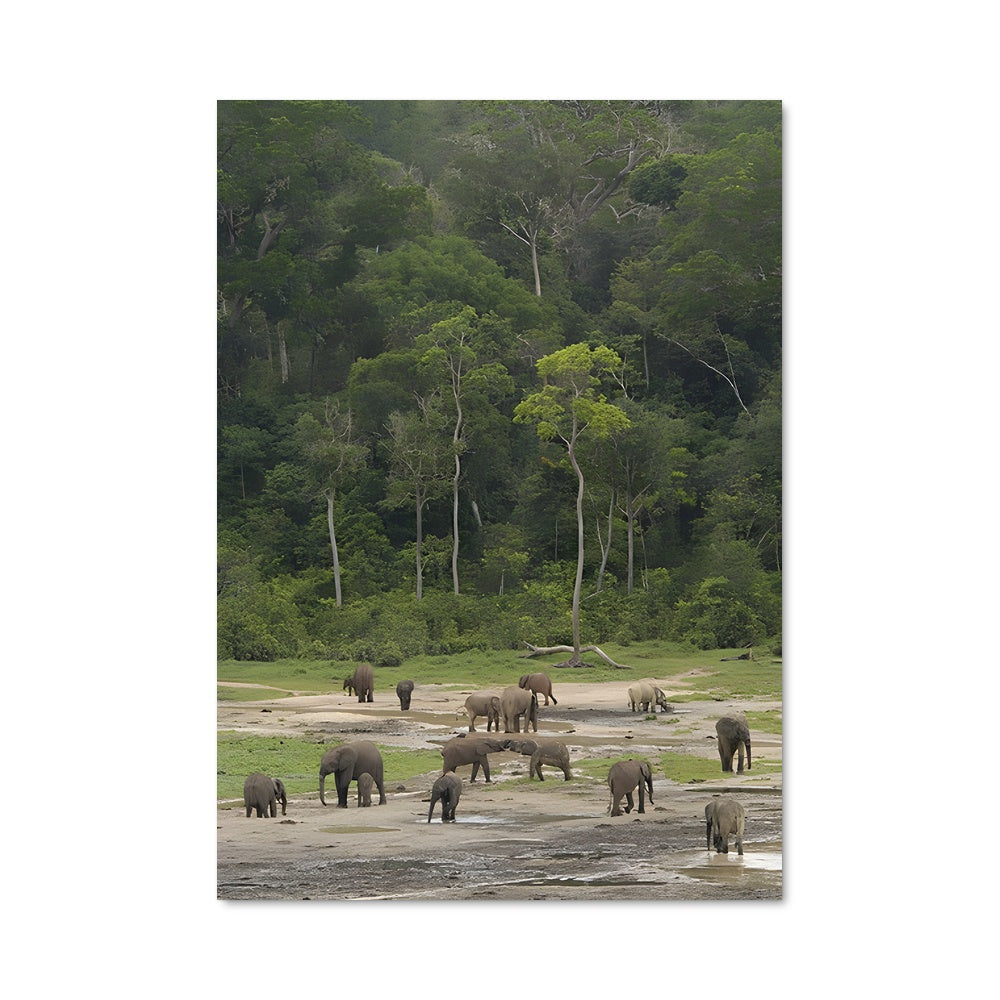 Poster Oasis Amazonienne