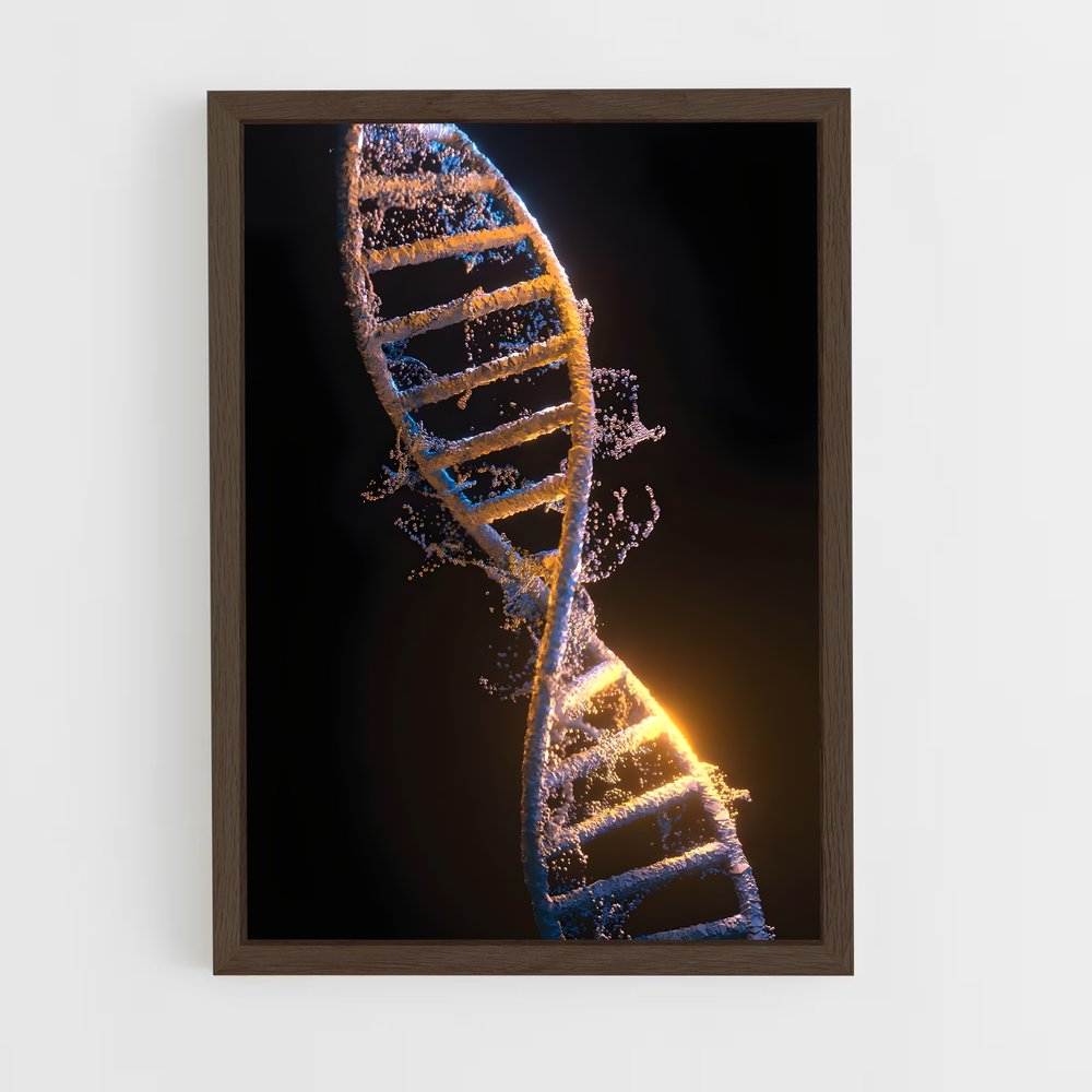 ap-dna structure-3 cadre Bois foncé