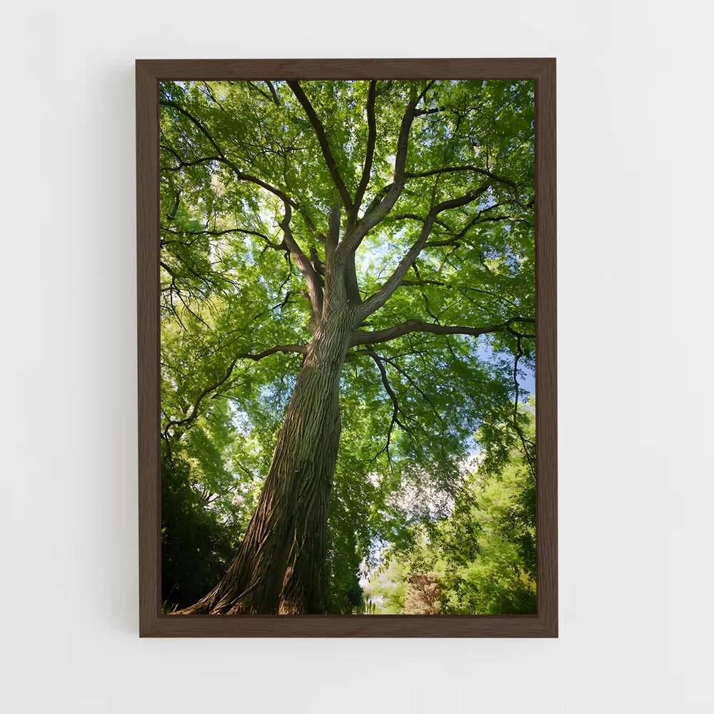 ap-elm-2 cadre Bois foncé