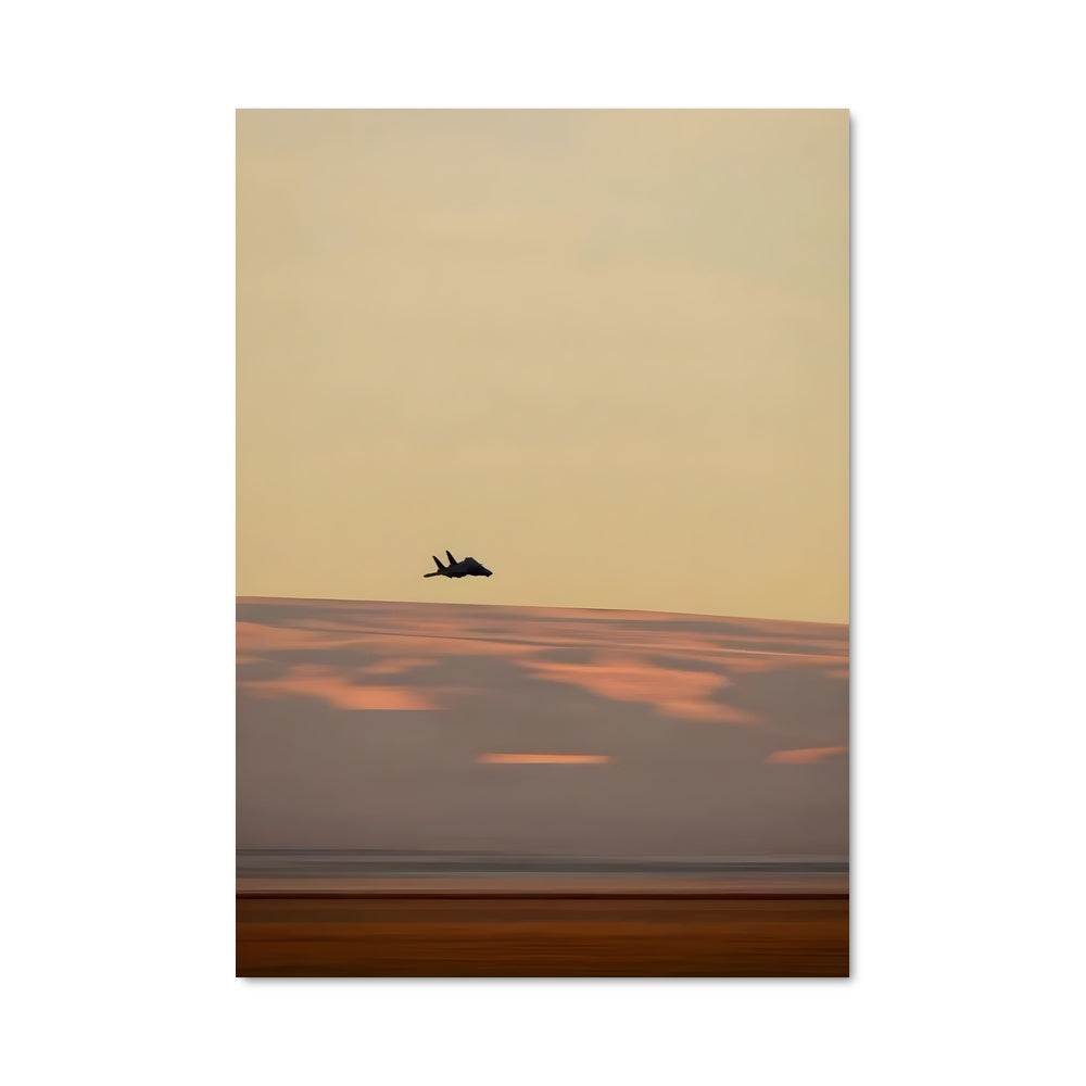 Poster F-14 tomcat 80880
