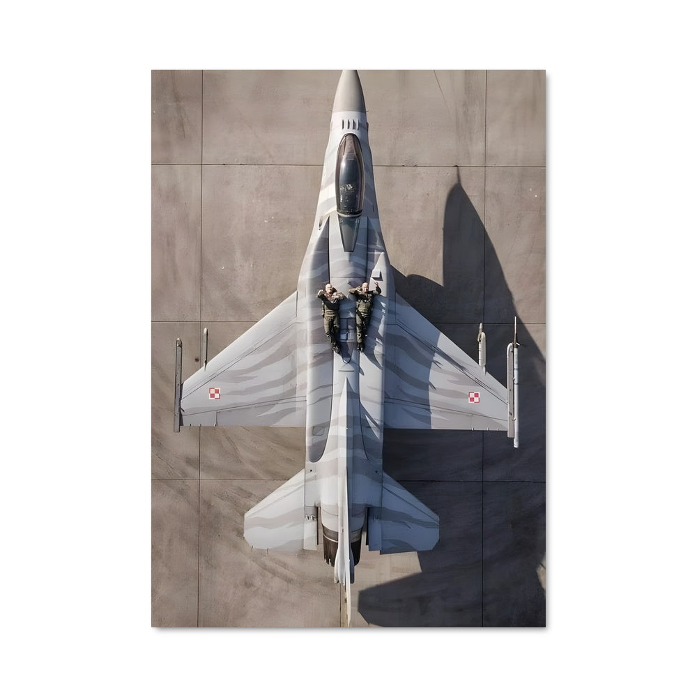 Poster Falcon en Vol
