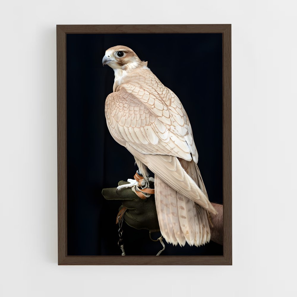 ap-falcon-13 cadre Bois foncé