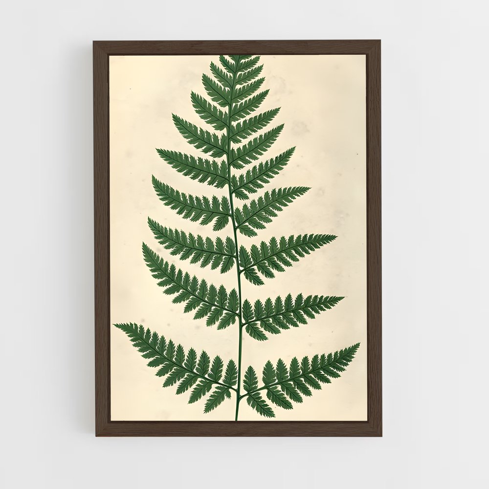 ap-ferns-5 cadre Bois foncé