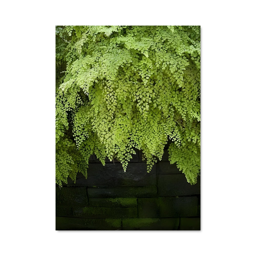 Poster L'Herbe Murale