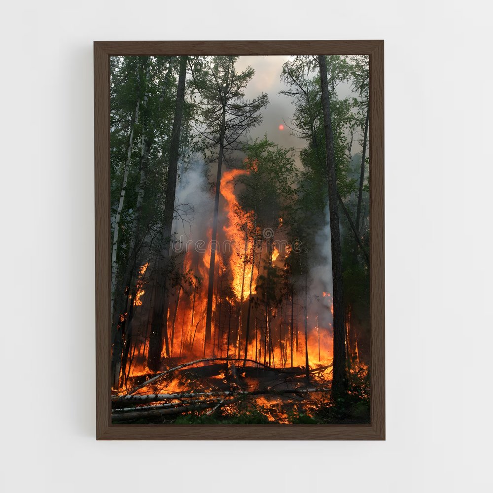 ap-forest fire-1 cadre Bois foncé