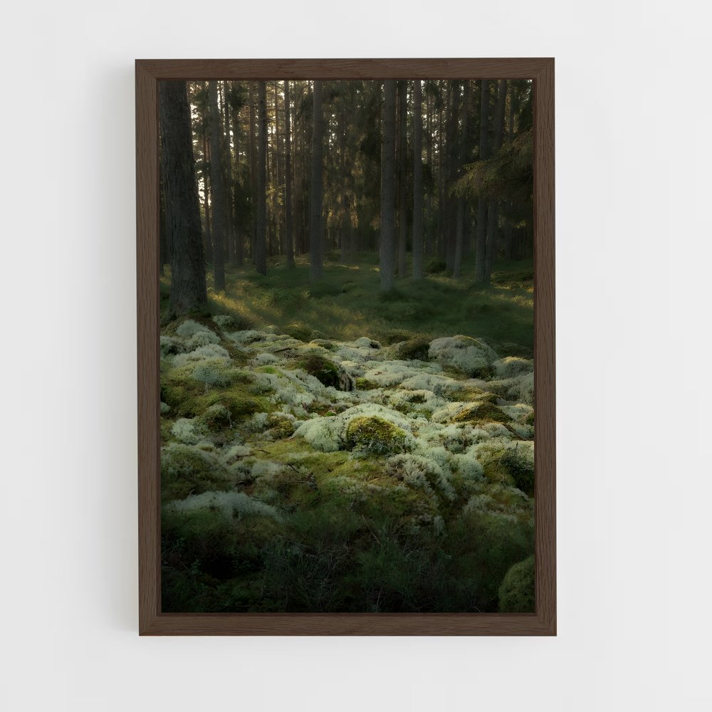 ap-forest moss-2 cadre Bois foncé