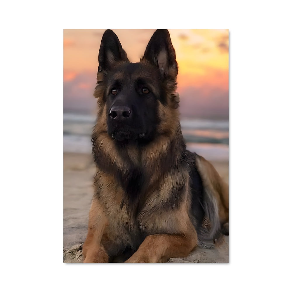 Poster Plage Canine