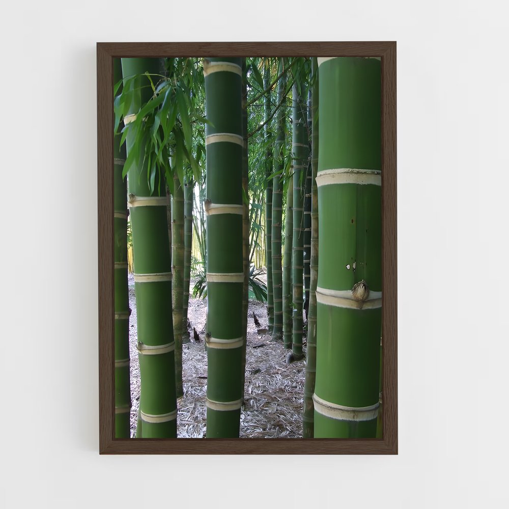 ap-giant bamboo-2 cadre Bois foncé